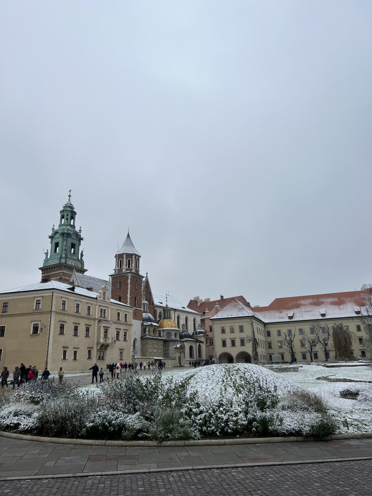widok na Wawel z ogrodów