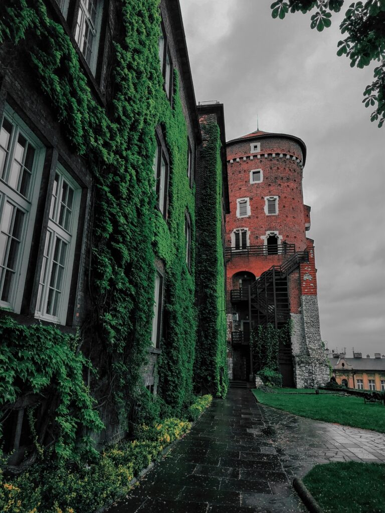 zwiedzanie wawelu, majówka 2026, kraków atrakcje dla dzieci, zwiedzanie wawelu z przewodnikiem, wawel bilety online